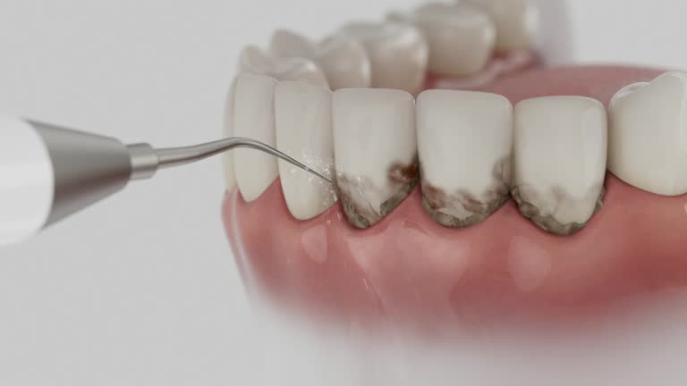 Reliable Dental contractor in East Lansing, MI by Dentist Open Now